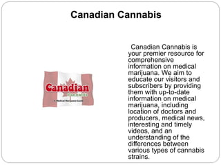 Canadian Cannabis 
Canadian Cannabis is 
your premier resource for 
comprehensive 
information on medical 
marijuana. We aim to 
educate our visitors and 
subscribers by providing 
them with up-to-date 
information on medical 
marijuana, including 
location of doctors and 
producers, medical news, 
interesting and timely 
videos, and an 
understanding of the 
differences between 
various types of cannabis 
strains. 
 