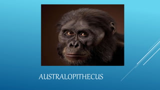 AUSTRALOPITHECUS
 