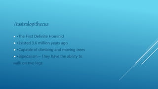 Australopithecus
 •The First Definite Hominid
 •Existed 3.6 million years ago
 •Capable of climbing and moving trees
 •Bipedalism – They have the ability to
walk on two legs
 