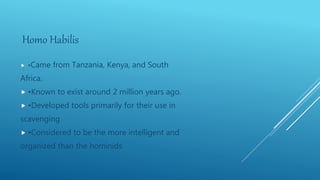 Homo Habilis
 •Came from Tanzania, Kenya, and South
Africa.
 •Known to exist around 2 million years ago.
 •Developed tools primarily for their use in
scavenging
 •Considered to be the more intelligent and
organized than the hominids
 