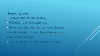 Homo Sapiens
 •Evolved from homo erectus
•500,000 – 200, 000 years ago
•They were also classified as Homo Sapiens
Neandertalensis or Homo Neandertalensis by
some anthropologist.
•Argued to be the evolved into Humans
 
