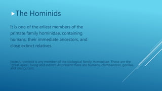 The Hominids
It is one of the erliest members of the
primate family hominidae, containing
humans, their immediate ancestors, and
close extinct relatives.
Note:A hominid is any member of the biological family Hominidae. These are the
"great apes", living and extinct. At present there are humans, chimpanzees, gorillas,
and orangutans.
 