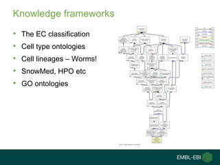 Knowledge frameworks

•   The EC classification
•   Cell type ontologies
•   Cell lineages – Worms!
•   SnowMed, HPO etc
•   GO ontologies
 