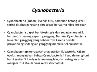 • Cyanobacteria (Yunani, kyanós biru, bacterion batang kecil)
sering disebut ganggang biru sebab berwarna hijau kebiruan
• Cyanobacteria dapat berfotosintesis dan sebagian memiliki
berbentuk benang seperti ganggang. Namun, Cyanobacteria
bukanlah ganggang yang sebenarnya karena bersifat
prokarioikbg sedangkan ganggang memiliki sel eukariotik.
• Cyanobacteriap merupakan anggota dari Eubacteria. Kajian
evolusi menyatakan bahwa Cyanobacteria ini sudah menghuni
bumi sekitar 3.8 milyar tahun yang lalu, dan sebagian sudah
menjadi fosil atau lapisas kerak stromatolit.
Cyanobacteria
 