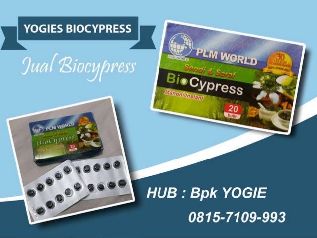 0813 2152 9993 Tanaman Herbal Sakit Pinggang Biocypress