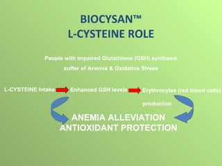 Biocysan™   l-cysteine role