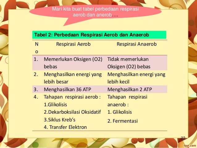 Celluler Respiration