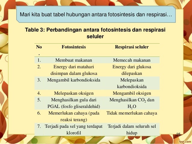 Celluler Respiration