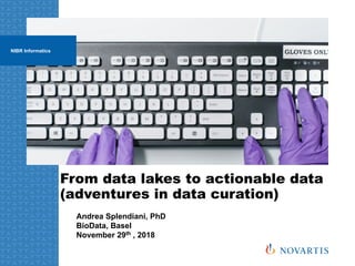 From data lakes to actionable data
(adventures in data curation)
Andrea Splendiani, PhD
BioData, Basel
November 29th , 2018
NIBR Informatics
 
