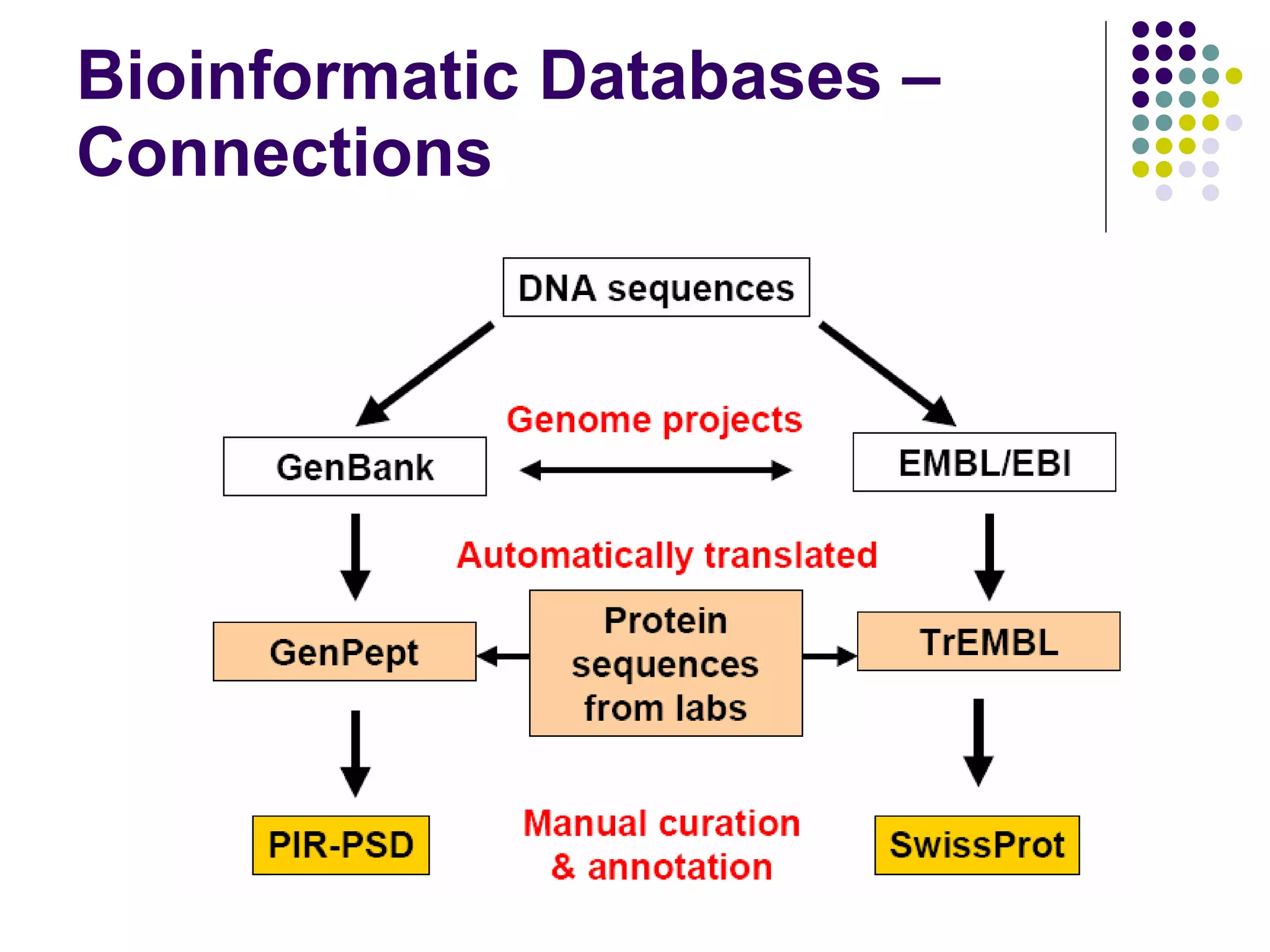 Bioinformatic Databases – Connections 