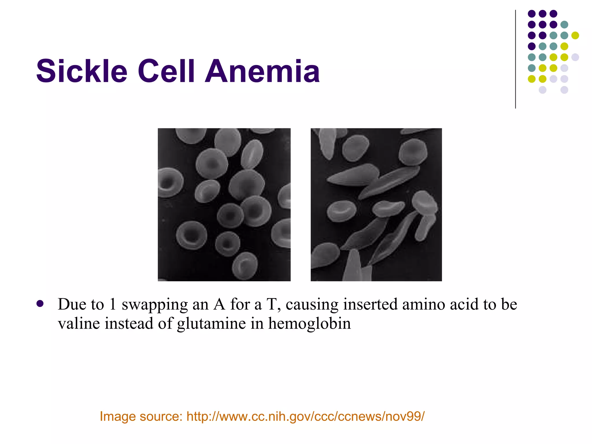 Sickle Cell Anemia Due to 1 swapping an A for a T, causing inserted amino acid to be valine instead of glutamine in hemoglobin Image source: http://www.cc.nih.gov/ccc/ccnews/nov99/ 