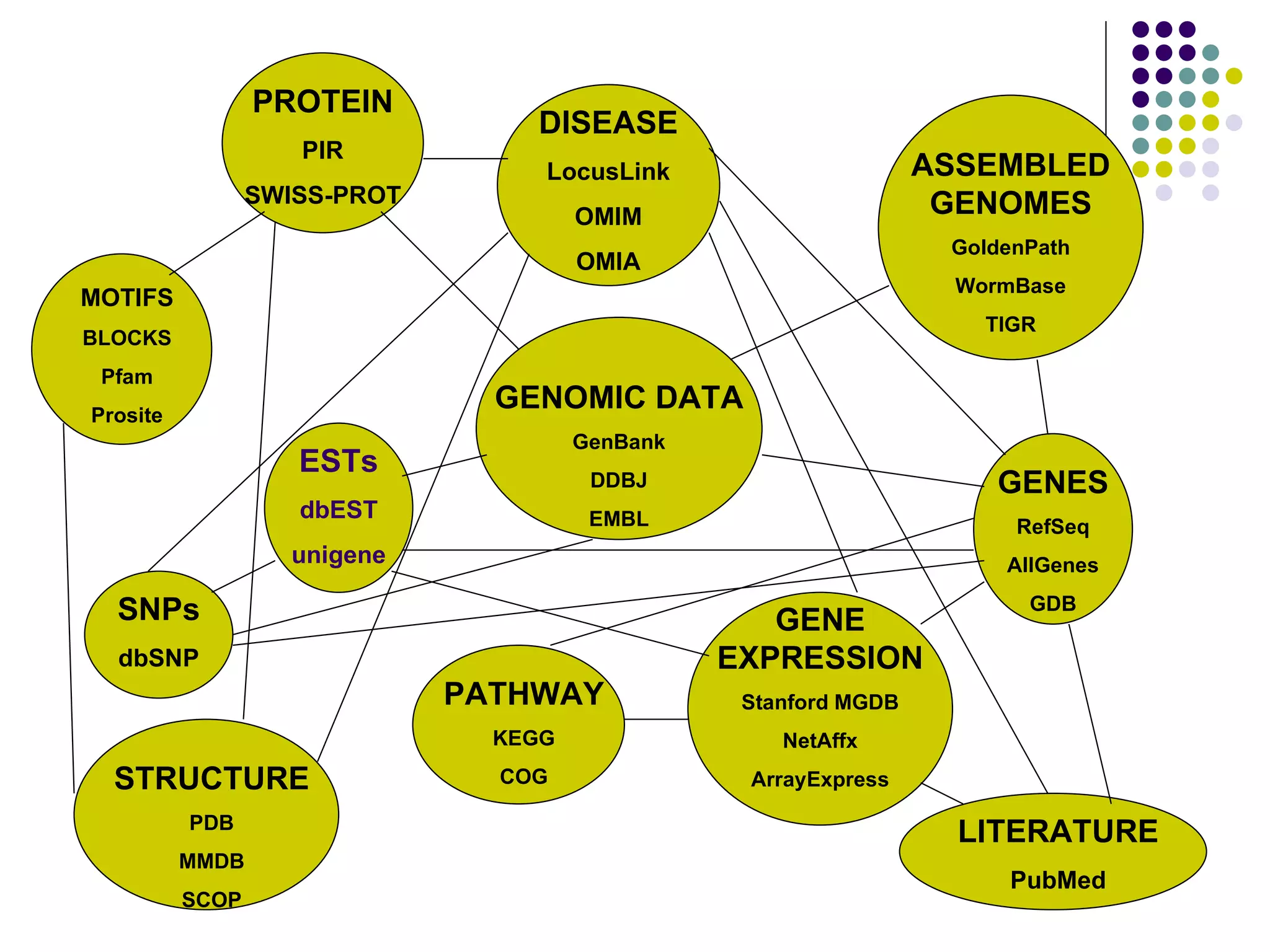 GENOMIC DATA GenBank DDBJ EMBL ASSEMBLED GENOMES GoldenPath WormBase TIGR PROTEIN PIR SWISS-PROT STRUCTURE PDB MMDB SCOP LITERATURE PubMed PATHWAY KEGG COG DISEASE LocusLink OMIM OMIA GENES RefSeq AllGenes GDB SNPs dbSNP ESTs dbEST unigene MOTIFS BLOCKS Pfam Prosite GENE EXPRESSION Stanford MGDB NetAffx ArrayExpress 