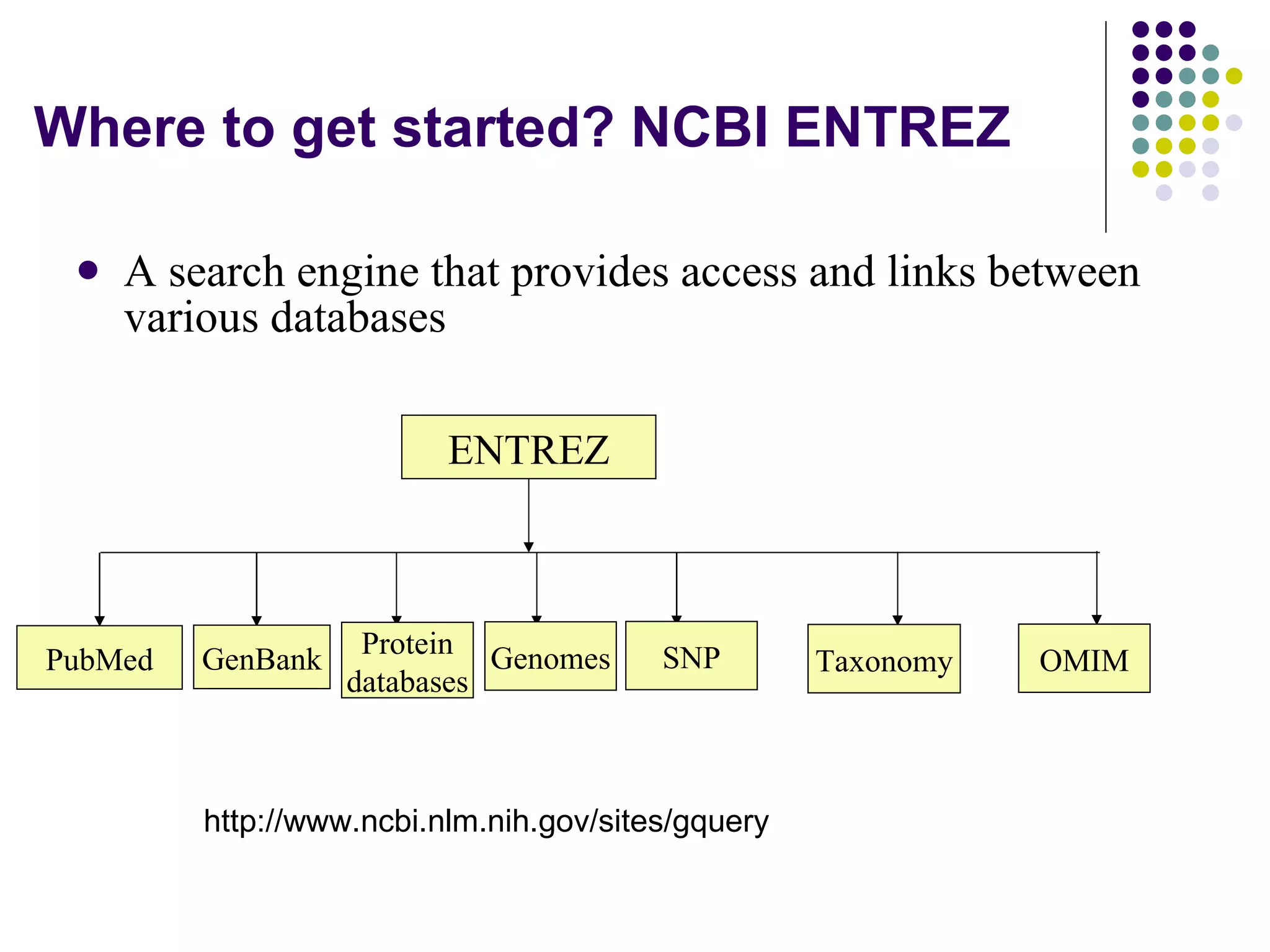 Where to get started? NCBI ENTREZ A search engine that provides access and links between various databases ENTREZ PubMed GenBank Protein databases Genomes SNP Taxonomy OMIM http://www.ncbi.nlm.nih.gov/sites/gquery 