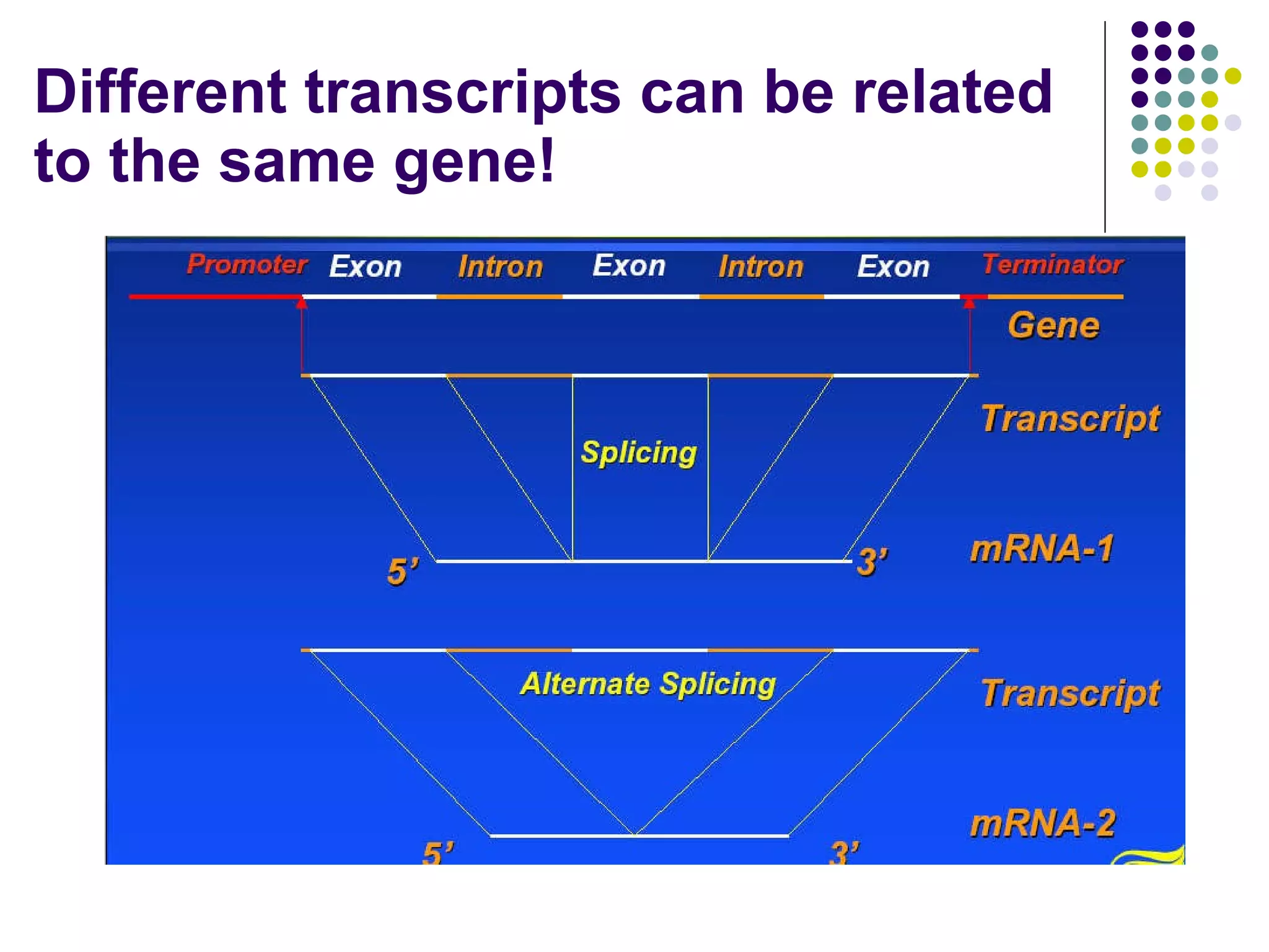 Different transcripts can be related to the same gene ! 