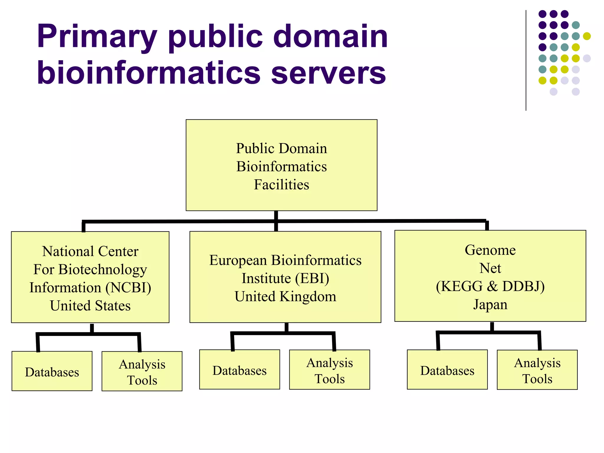 Primary public domain bioinformatics servers Public Domain Bioinformatics Facilities European Bioinformatics Institute (EBI) United Kingdom National Center For Biotechnology Information (NCBI) United States Genome Net (KEGG & DDBJ) Japan Databases Analysis Tools Databases Analysis Tools Databases Analysis Tools 