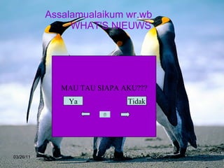 Assalamualaikum wr.wb WHAT'S NIEUWS   03/26/11 RESTA PEBRIANI MAU TAU SIAPA AKU??? Tidak Ya 