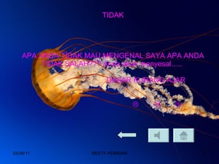 TIDAK APA ANDA TIDAK MAU MENGENAL SAYA APA ANDA TIDAK SALAH??? Anda akan menyesal…..  DASAR KURANG AJAR      03/26/11 RESTA PEBRIANI 