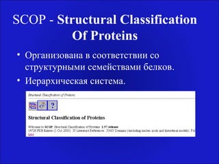 SCOP - Structural Classification
Of Proteins
• Организована в соответствии со
структурными семействами белков.
• Иерархическая система.
 