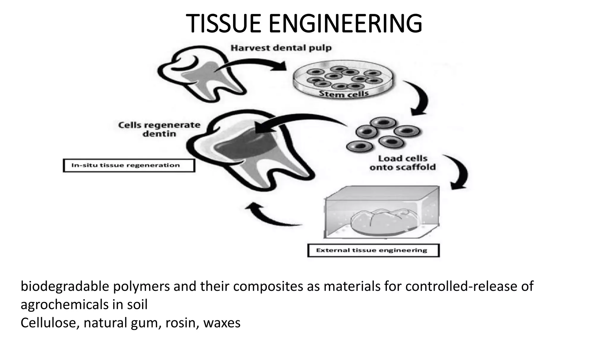 TISSUE ENGINEERING
biodegradable polymers and their composites as materials for controlled-release of
agrochemicals in soil
Cellulose, natural gum, rosin, waxes
 