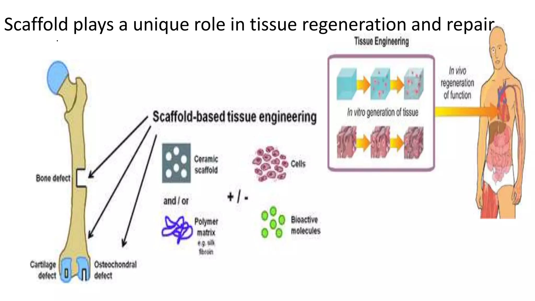 .
Scaffold plays a unique role in tissue regeneration and repair
 