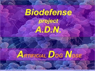Biodefense
project
A.D.N.
ARTIFICIAL DOG NOSE
 