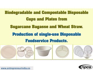 Biodegradable Paper Plates: The Truth Will Shock You