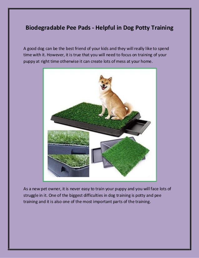 how to train your puppy to pee on a pad