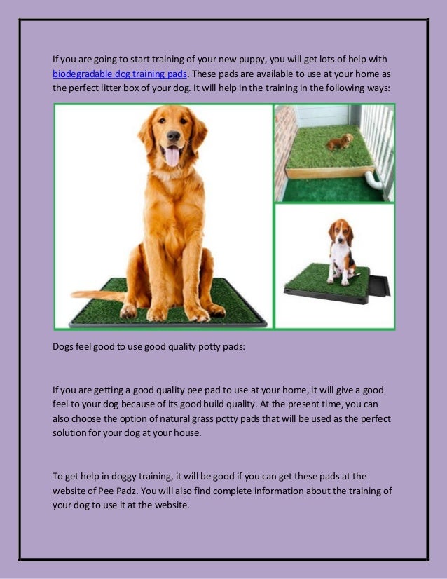 biodegradable dog pads