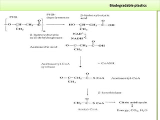 Biodegradable plastics
 
