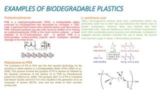 EXAMPLES OF BIODEGRADABLE PLASTICS
Polyhydroxybutyrate
PHB is a poly(hydroxyalkanoate) (PHA), a biodegradable plastic
produced by microorganisms first discovered by Lemoigne in 1925.
Later, it was found that several other bacterial strains could also produce
PHB. Chemical synthesis has also been found by Shelton et al. Among
all, polyhydroxybutyrate (PHB) is the most common polymer . a linear
polyester of d(−)-3-hydroxybutyric acid . In general, PHB is a
semicrystalline surface-eroding polymer which undergoes hydrolytic
cleavage of the ester bonds .
L- and D-lactic acid
Many microorganisms produce lactic acid, Lactobacillus strains are
particularly useful due to their high acid tolerance and relative ease of
genetic manipulation. However, lactic acid bacteria also have
undesirable traits. They are fastidious in terms of nutrient requirements,
which often complicates product recovery, and additionally, incomplete or
negligible pentose utilization excludes the use of xylose, the second
most abundant sugar in nature, in fermentation processes.
Polystyrene to PHA
The conversion of PS to PHA was the first reported technology for the
recycling of waste plastics to a biodegradable plastic (PHA) (Ward et al.,
2006). This process involved the pyrolysis of PS to styrene oil, followed by
the bacterial conversion of the styrene oil to PHA by Pseudomonas
putida CA-3 (Ward et al., 2006). The pyrolysis (520 °C) of PS in a fluidized
bed-reactor (Quartz sand (0.3–0.5 mm)) resulted in the generation of an oil
composed of styrene (82.8%, w/w) and low levels of other aromatic
compounds.
 