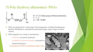 5) Poly (hydroxy alkanoates)- PHAs
 PHAs are produced by a wide range of microorganisms, including Pseudomonas,
Bacillus, Rhodobacter, cyanobacteria and marine algae, using a range of carbon
sources.
 PHAs degrade via a variety of mechanisms:
in bacteria: enzymatic hydrolysis
in animals or in the environment: enzymatic or
chemical hydrolysis
19
Accumulation of PHA in rhodobacter sphaeroides
R = C1–C13alkyl group (all Rstereochemistry)
n = 1 –4
m = 100 –30,000
 