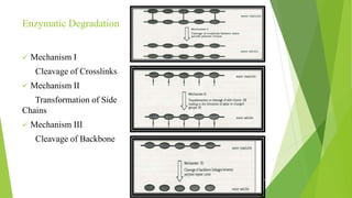Enzymatic Degradation
 Mechanism I
Cleavage of Crosslinks
 Mechanism II
Transformation of Side
Chains
 Mechanism III
Cleavage of Backbone
6
 
