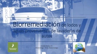 Biorremediación de lodos y
aguas provenientes de lavaderos de
autos
Ubaldo Bedoya M.
Bacteriólogo – M.Sc. Biotecnología
 