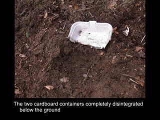 The two cardboard containers completely disintegrated below the ground 