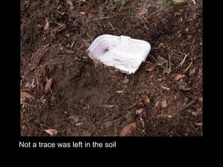 Not a trace was left in the soil 