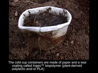 The cold cup containers are made of paper and a wax coating called Ingeo™ biopolymer (plant-derived polylactic acid or PLA) 