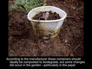 According to the manufacturer these containers should ideally be composted to biodegrade, but some changes did occur in the garden - particularly in the paper 
