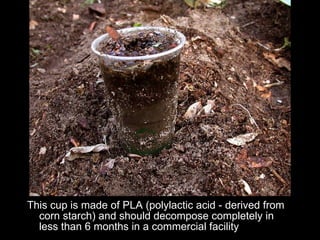 This cup is made of PLA (polylactic acid - derived from corn starch) and should decompose completely in less than 6 months in a commercial facility   