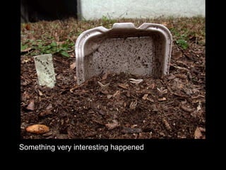 Something very interesting happened 