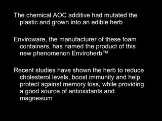 The chemical AOC additive had mutated the plastic and grown into an edible herb Enviroware, the manufacturer of these foam containers, has named the product of this new phenomenon Enviroherb™  Recent studies have shown the herb to reduce cholesterol levels, boost immunity and help protect against memory loss, while providing a good source of antioxidants and magnesium   
