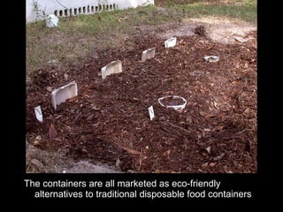 The containers are all marketed as eco-friendly alternatives to traditional disposable food containers 