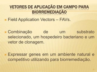 VETORES DE APLICAÇÃO EM CAMPO PARA
              BIORREMEDIAÇÃO
   Field Application Vectors – FAVs.

   Combinação       de      um       substrato
    selecionado, um hospedeiro bacteriano e um
    vetor de clonagem.

   Expressar genes em um ambiente natural e
    competitivo utilizando para biorremediação.

                                              12
 