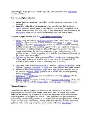 Disadvantages: As this process is controlled by plants, it takes more time than anthropogenic
soil clean-up methods.
Two versions of phytoextraction:
 natural hyper-accumulation, where plants naturally take up the contaminants in soil
unassisted.
 induced or assistedhyper-accumulation, where a conditioning fluid containing a
chelator or another agent is added to soil to increase metal solubility or mobilization so
that the plants can absorb them more easily. In many cases natural hyperaccumulators are
metallophyte plants that can tolerate and incorporate high levels of toxic metals.
Examples of phytoextraction (see also 'Table of hyperaccumulators'):
 Arsenic, using the Sunflower (Helianthus annuus),[3] or the Chinese Brake fern (Pteris
vittata),[4] a hyperaccumulator. Chinese Brake fern stores arsenic in its leaves.
 Cadmium, using willow (Salix viminalis): In 1999, one research experiment performed
by Maria Greger and Tommy Landberg suggested willow has a significant potential as a
phytoextractor of Cadmium (Cd), Zinc (Zn), and Copper (Cu), as willow has some
specific characteristics like high transport capacity of heavy metals from root to shoot
and huge amount of biomass production; can be used also for production of bio energy in
the biomass energy power plant.[5]
 Cadmium and zinc, using Alpine pennycress (Thlaspi caerulescens), a hyperaccumulator
of these metals at levels that would be toxic to many plants. On the other hand, the
presence of copper seems to impair its growth (see table for reference).
 Lead, using Indian Mustard (Brassica juncea), Ragweed (Ambrosia artemisiifolia), Hemp
Dogbane (Apocynum cannabinum), or Poplar trees, which sequester lead in their biomass.
 Salt-tolerant (moderately halophytic) barley and/or sugar beets are commonly used for
the extraction of sodium chloride (common salt) to reclaim fields that were previously
flooded by sea water.
 Caesium-137 and strontium-90 were removed from a pond using sunflowers after the
Chernobyl accident.[6]
 Mercury, selenium and organic pollutants such as polychlorinated biphenyls (PCBs) have
been removed from soils by transgenic plants containing genes for bacterial enzymes.[7]
Phytostabilization
Phytostabilization focuses on long-term stabilization and containment of the pollutant. Example,
the plant's presence can reduce wind erosion; or the plant's roots can prevent water erosion,
immobilize the pollutants by adsorption or accumulation, and provide a zone around the roots
where the pollutant can precipitate and stabilize. Unlike phytoextraction, phytostabilization
focuses mainly on sequestering pollutants in soil near the roots but not in plant tissues. Pollutants
become less bioavailable, and livestock, wildlife, and human exposure is reduced. An example
application of this sort is using a vegetative cap to stabilize and contain mine tailings.[8]
 
