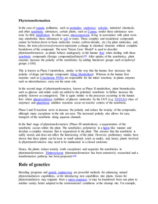 Phytotransformation
In the case of organic pollutants, such as pesticides, explosives, solvents, industrial chemicals,
and other xenobiotic substances, certain plants, such as Cannas, render these substances non-
toxic by their metabolism. In other cases, microorganisms living in association with plant roots
may metabolize these substances in soil or water. These complex and recalcitrant compounds
cannot be broken down to basic molecules (water, carbon-dioxide, etc.) by plant molecules, and,
hence, the term phytotransformation represents a change in chemical structure without complete
breakdown of the compound. The term "Green Liver Model" is used to describe
phytotransformation, as plants behave analogously to the human liver when dealing with these
xenobiotic compounds (foreign compound/pollutant).[9] After uptake of the xenobiotics, plant
enzymes increase the polarity of the xenobiotics by adding functional groups such as hydroxyl
groups (-OH).
This is known as Phase I metabolism, similar to the way that the human liver increases the
polarity of drugs and foreign compounds (Drug Metabolism). Whereas in the human liver
enzymes such as Cytochrome P450s are responsible for the initial reactions, in plants enzymes
such as nitroreductases carry out the same role.
In the second stage of phytotransformation, known as Phase II metabolism, plant biomolecules
such as glucose and amino acids are added to the polarized xenobiotic to further increase the
polarity (known as conjugation). This is again similar to the processes occurring in the human
liver where glucuronidation (addition of glucose molecules by the UGT (e.g. UGT1A1) class of
enzymes) and glutathione addition reactions occur on reactive centres of the xenobiotic.
Phase I and II reactions serve to increase the polarity and reduce the toxicity of the compounds,
although many exceptions to the rule are seen. The increased polarity also allows for easy
transport of the xenobiotic along aqueous channels.
In the final stage of phytotransformation (Phase III metabolism), a sequestration of the
xenobiotic occurs within the plant. The xenobiotics polymerize in a lignin-like manner and
develop a complex structure that is sequestered in the plant. This ensures that the xenobiotic is
safely stored, and does not affect the functioning of the plant. However, preliminary studies have
shown that these plants can be toxic to small animals (such as snails), and, hence, plants involved
in phytotransformation may need to be maintained in a closed enclosure.
Hence, the plants reduce toxicity (with exceptions) and sequester the xenobiotics in
phytotransformation. Trinitrotoluene phytotransformation has been extensively researched and a
transformation pathway has been proposed.[10]
Role of genetics
Breeding programs and genetic engineering are powerful methods for enhancing natural
phytoremediation capabilities, or for introducing new capabilities into plants. Genes for
phytoremediation may originate from a micro-organism or may be transferred from one plant to
another variety better adapted to the environmental conditions at the cleanup site. For example,
 