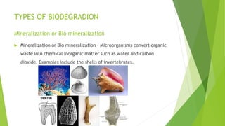 Biodegradation | PPTX
