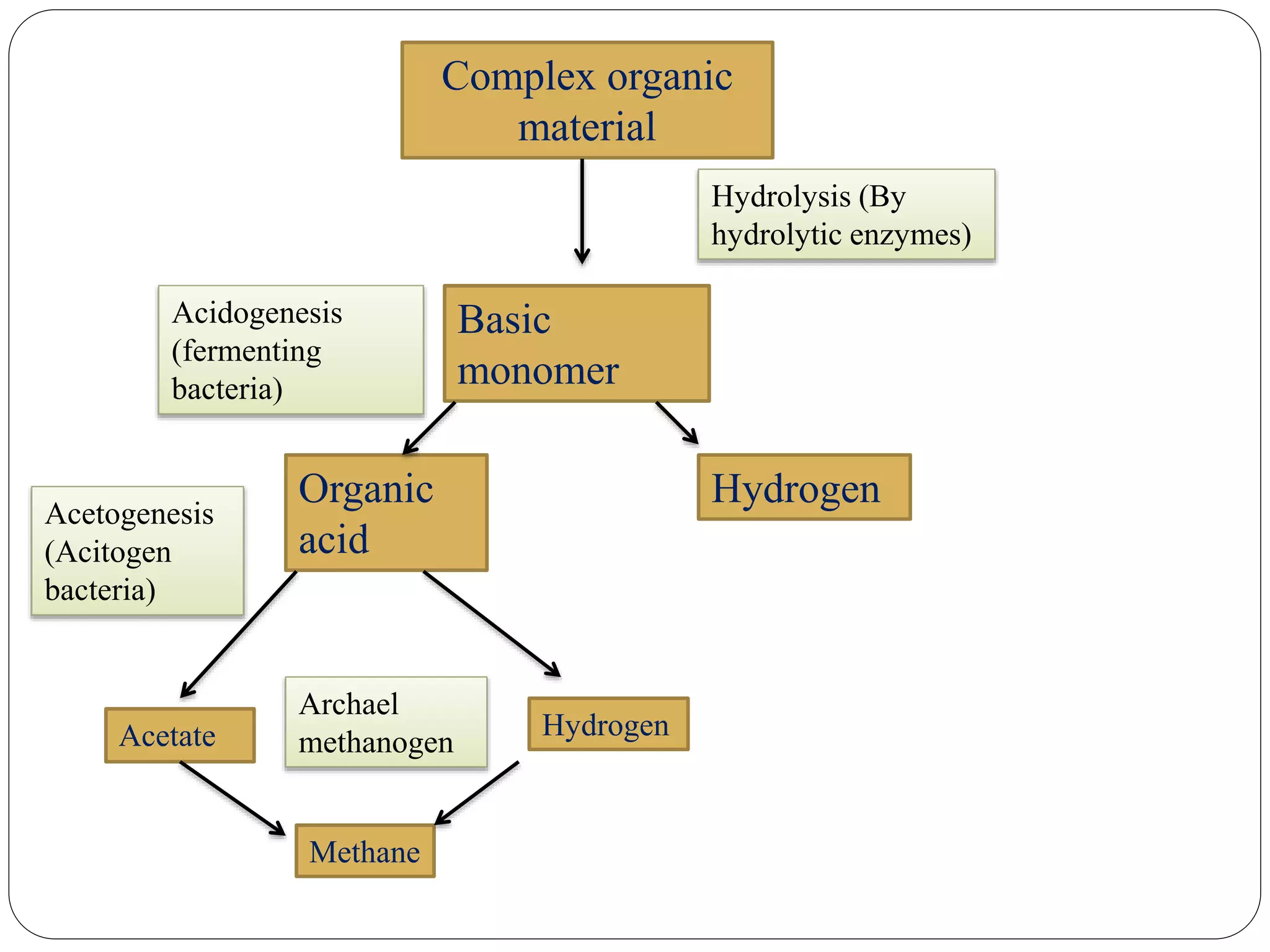 Complex organic
material
Basic
monomer
Hydrolysis (By
hydrolytic enzymes)
Acidogenesis
(fermenting
bacteria)
HydrogenOrganic
acid
Acetogenesis
(Acitogen
bacteria)
Acetate Hydrogen
Archael
methanogen
Methane
 