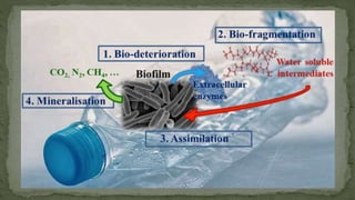 Biodegradation | PPTX