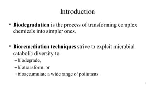 Presentation on the topic Biodegradation.pptx