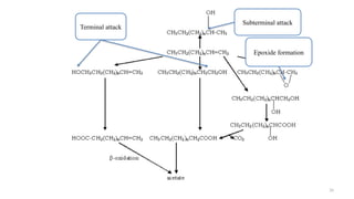 Terminal Epoxide Presentation on the topic Biodegradation.pptx