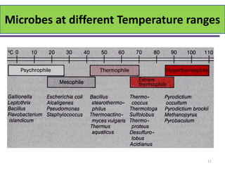 Moderate Temperature Bio Biodegradation and bioremediation | PDF